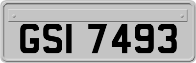 GSI7493