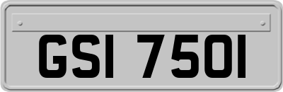 GSI7501