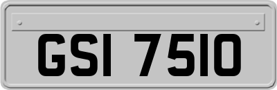 GSI7510
