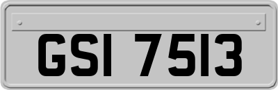 GSI7513