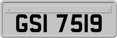 GSI7519