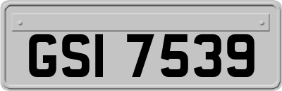 GSI7539