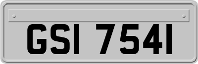 GSI7541
