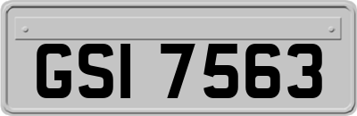 GSI7563