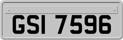 GSI7596