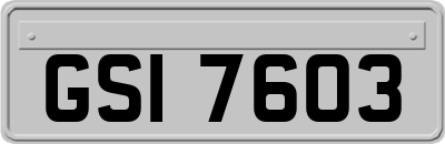 GSI7603