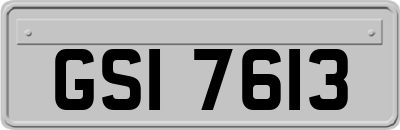 GSI7613