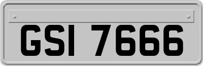 GSI7666