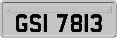 GSI7813