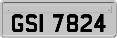 GSI7824