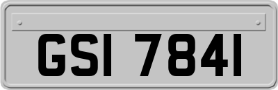 GSI7841