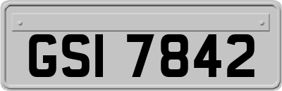 GSI7842