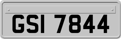 GSI7844