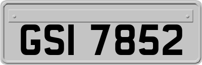 GSI7852