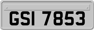 GSI7853