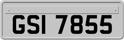 GSI7855