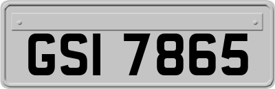 GSI7865