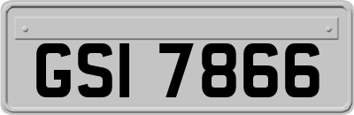 GSI7866