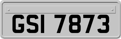 GSI7873