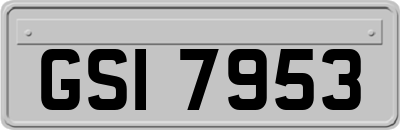 GSI7953