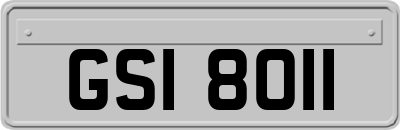 GSI8011