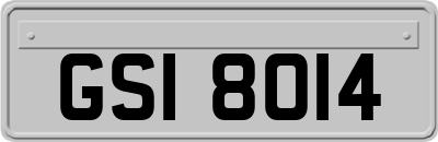GSI8014