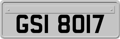 GSI8017