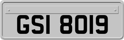 GSI8019