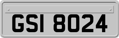 GSI8024