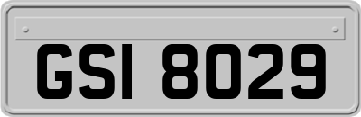 GSI8029