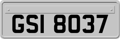 GSI8037