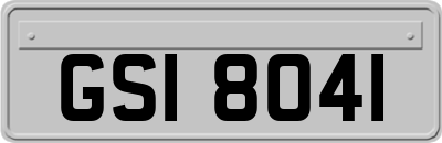 GSI8041