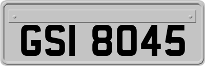 GSI8045