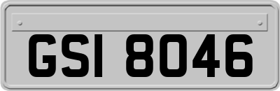 GSI8046