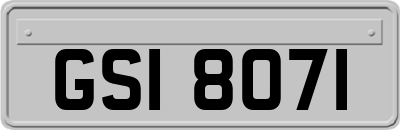 GSI8071