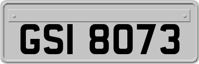 GSI8073