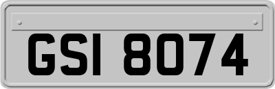 GSI8074