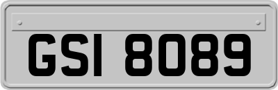GSI8089