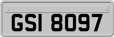 GSI8097