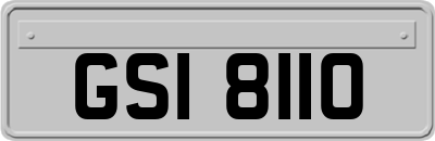 GSI8110