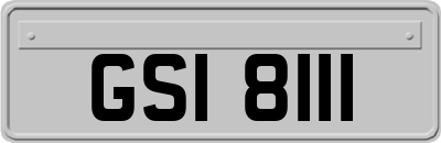 GSI8111