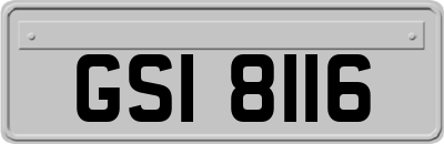 GSI8116