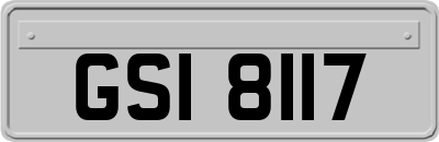 GSI8117