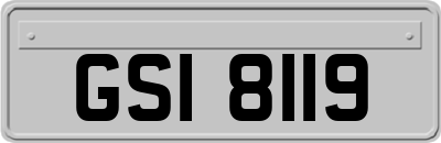 GSI8119
