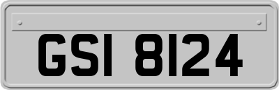 GSI8124