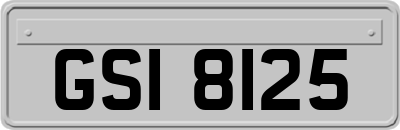 GSI8125