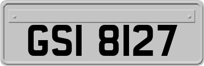 GSI8127