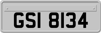 GSI8134