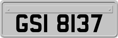 GSI8137