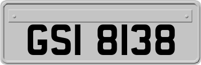 GSI8138